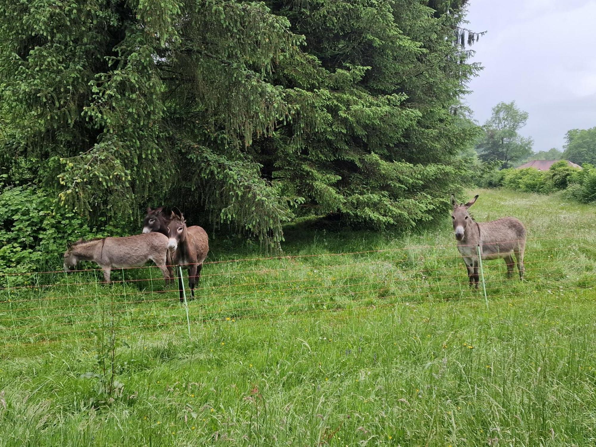 Maison Du Bonheur Gan Ruang foto